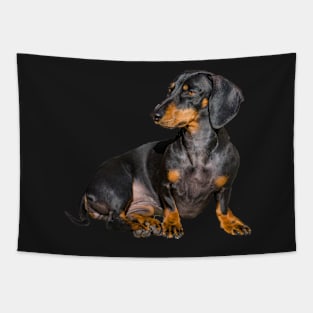 Dachshund Tapestry