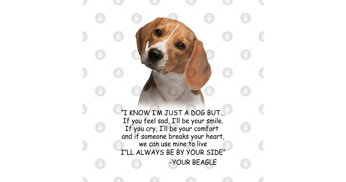 Can You Feel My Heart Dog