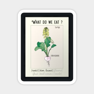 Turnip Kitchen poster what do we eat Magnet