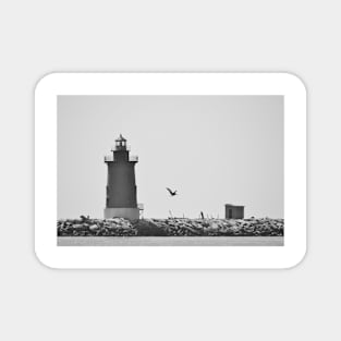 Light Gray - Cape Henlopen Lighthouse Magnet