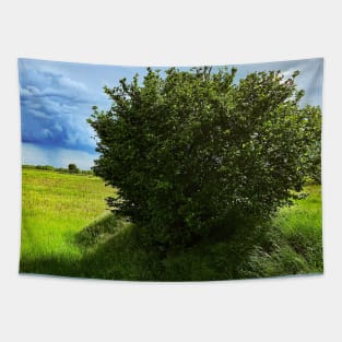 Nature Green Grass Tree Sky Clouds Italian Landscape Tapestry