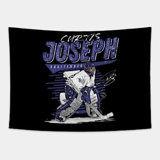 Curtis Joseph Toronto Comet Tapestry