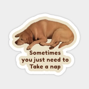 Take A Nap (dog) Magnet