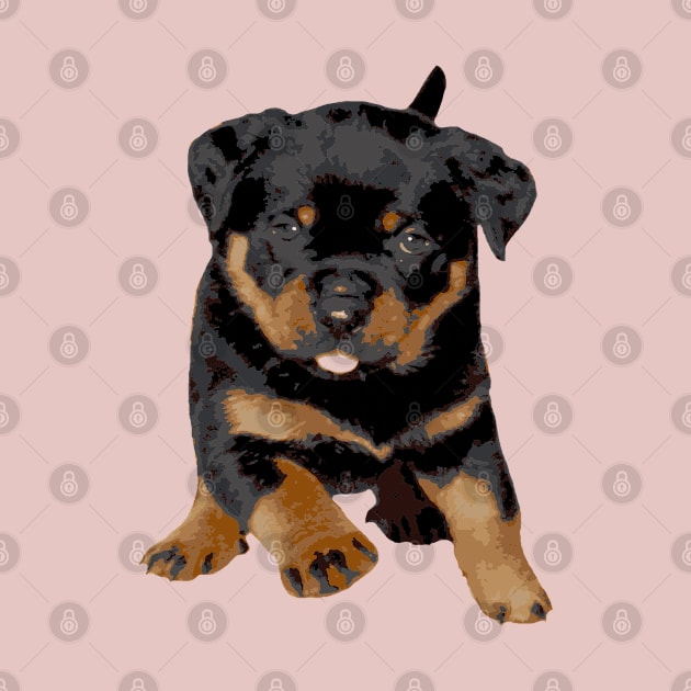 Cute Rottweiler Puppy Running With Tongue Out by taiche