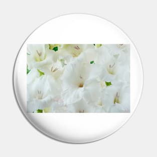 Gladiolus  'White Friendship' Pin