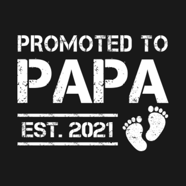 Download Promoted to Grandpa Est 2021 Pregnancy Announcement Family ...