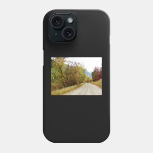 Fall Road Phone Case