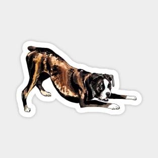 boxer dog Magnet