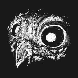 Sketchy Owl T-Shirt