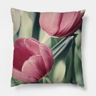 Twin Tulips in Pastel Pink Pillow