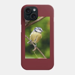 Mésange bleu - Birds avec le Panasonic  FZ 1000  part Olavia-Olao by Okaio Créations Phone Case