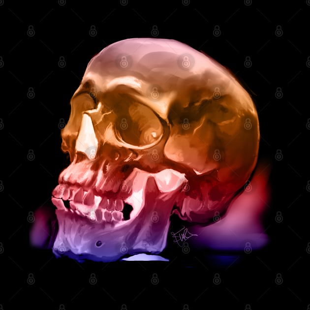 Skull Study 4 by Shawnsonart