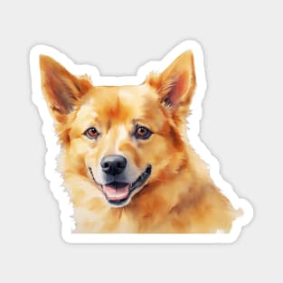 Watercolor Finnish Spitz Magnet