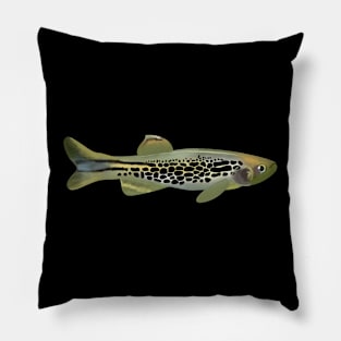 Golden Danio Pillow