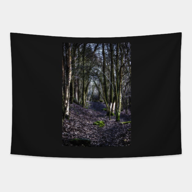 Lost in the Forest Tapestry by InspiraImage