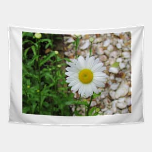 Daisy Tapestry