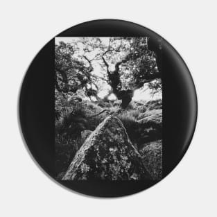 Whistman's Wood in Black and White Pin