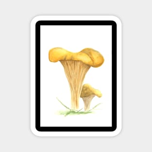 Art picture painted watercolor mushroom Magnet