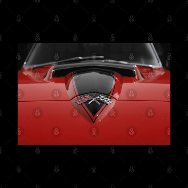 Corvette Stingray Hood Detail by mal_photography