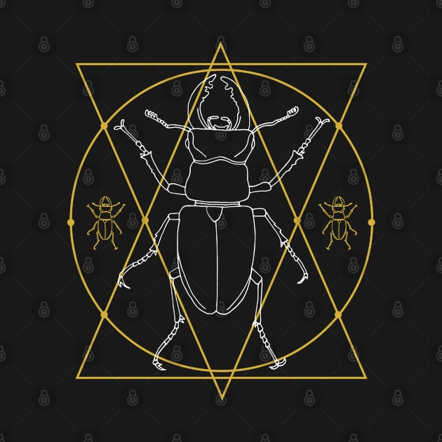 Stag Beetle Insect Geometric Illustration by HotHibiscus