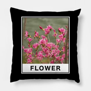 Beautiful Pink Flower Photography Pillow