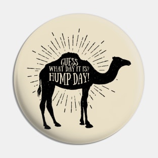 What Day Is It? Hump Day! Pin