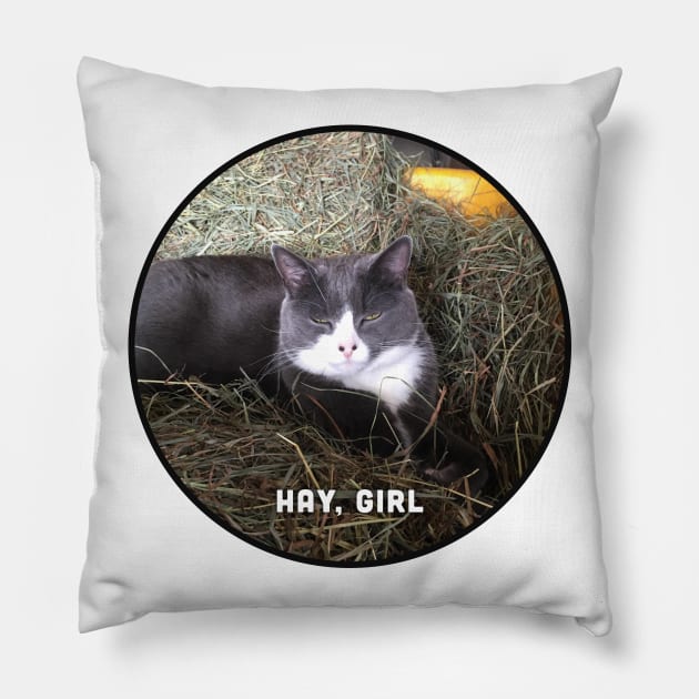 Hay, Girl Pillow by Jen Kirkman