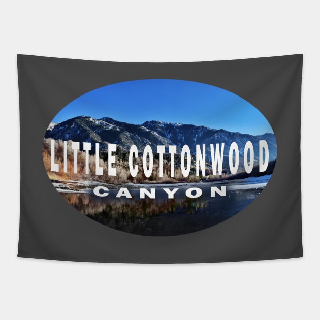 Little Cottonwood Canyon Tapestry by stermitkermit