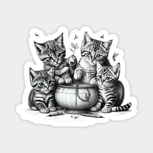 Cute kittens Magnet