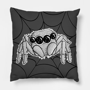 Cute jumping spider Pillow