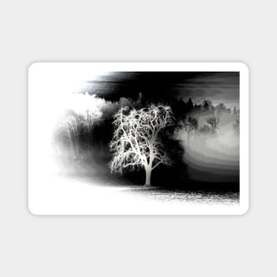 Tree negative art / Swiss Artwork Photography Magnet