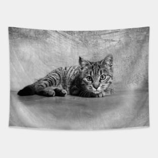 Playful Kitten Tapestry