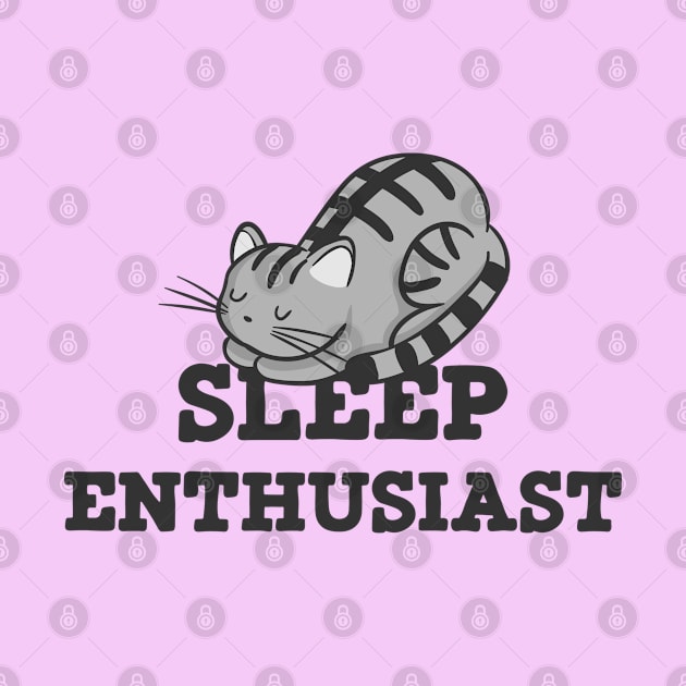 Sleep Enthusiast Cat Nap by Liberty Art