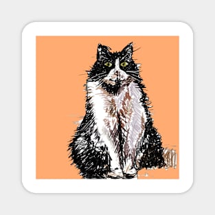 Tuxedo Cat Cute Drawing - on Apricot orange Magnet