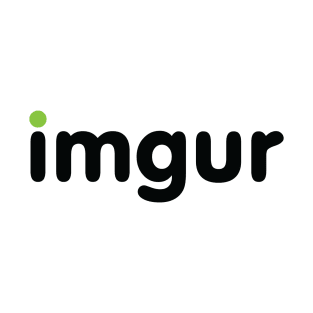 Imgur Company T-Shirt