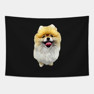 Pomeranian Dog Cutes Puppy Tapestry