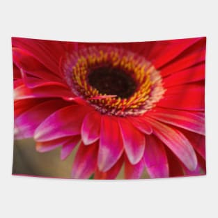 Pink Bloom Tapestry