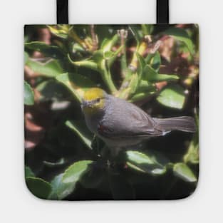 Small Verdin Tote