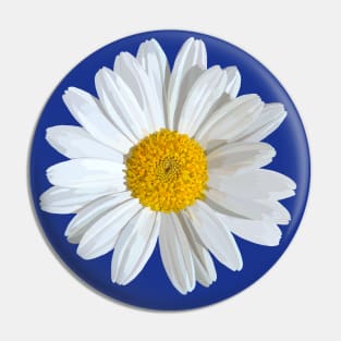 Marguerite blossom on Blue Pin