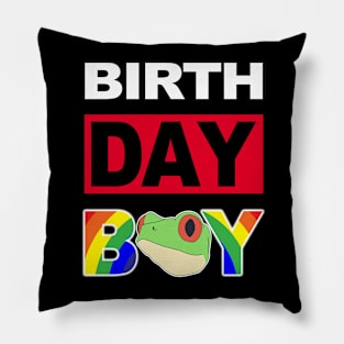 Birth Day Boy Pillow