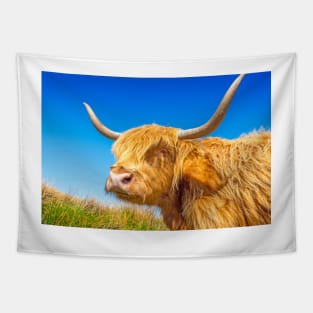 Coo ! Tapestry