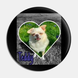 Teddy Pin