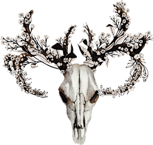 Skull with flower crown Magnet