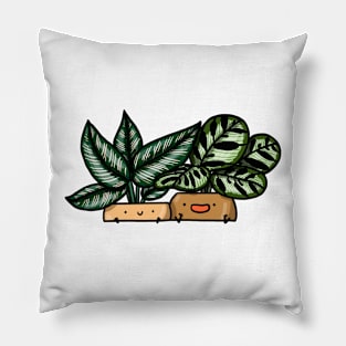 Calatheas Pillow