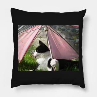 The Parasol Pillow