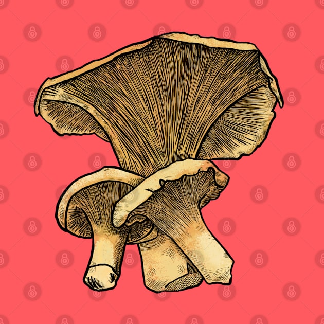 Three Mushrooms by theartfulscientist