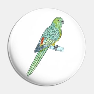 Red-rumped Parrot Pin