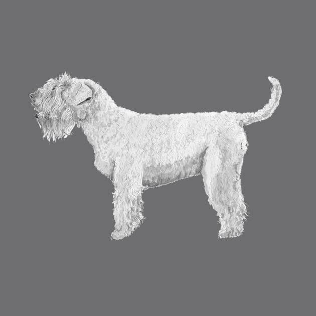 Soft coated wheaten terrier by doggyshop