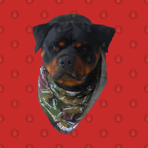 Rottweiler Wearing A Turkiye Dog Bandana by taiche