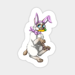 Bobtail BunnyCat: Cinnamon Point (Pink) Magnet